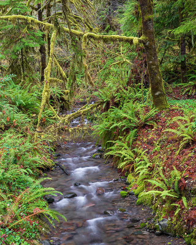 Sony A7R V Review: Field Test -- Gallery Image