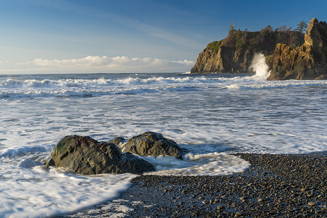 Sony A7R V Review: Field Test -- Gallery Image