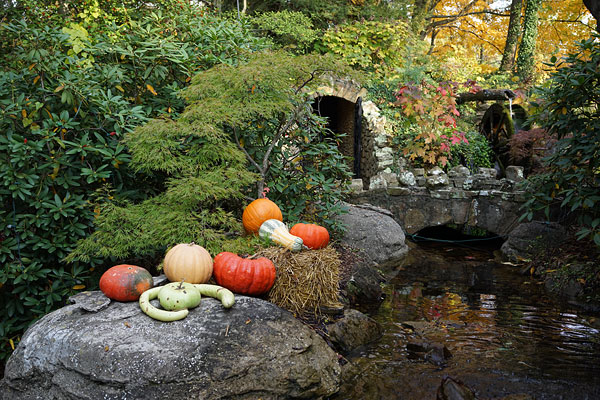 Sony A7R review -- Sample photo