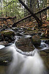 Click to see Y_DSC1010-MOD.JPG