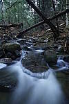 Click to see Y_DSC1010.JPG