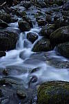 Click to see Y_DSC1013.JPG