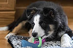 Click to see Y_DSC1033-MOD.JPG
