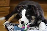 Click to see Y_DSC1033.JPG