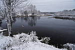 Click to see Y_DSC1049.JPG