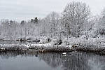 Click to see Y_DSC1050-MOD.JPG
