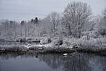 Click to see Y_DSC1050.JPG