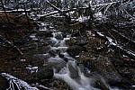 Click to see Y_DSC1105.JPG