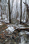 Click to see Y_DSC1115-MOD.JPG