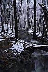 Click to see Y_DSC1115.JPG