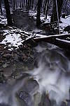 Click to see Y_DSC1121.JPG