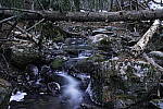 Click to see Y_DSC1225.JPG