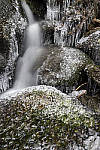 Click to see Y_DSC1233-MOD.JPG