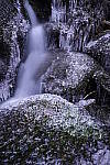 Click to see Y_DSC1233.JPG