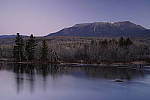 Click to see Y_DSC1298.JPG
