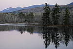 Click to see Y_DSC1303.JPG