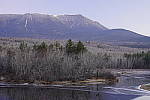 Click to see Y_DSC1306.JPG