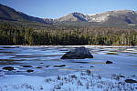 Click to see Y_DSC1317.JPG