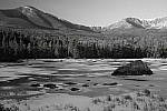 Click to see Y_DSC1333-Effect-PartialClrGrn.JPG