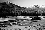 Click to see Y_DSC1336-Effect-HghCntrstBW.JPG
