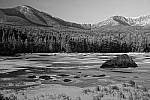 Click to see Y_DSC1339-Effect-RichToneBW.JPG