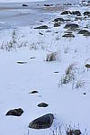 Click to see Y_DSC1382.JPG