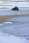 Click to see Y_DSC1389.JPG
