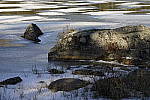 Click to see Y_DSC1401.JPG