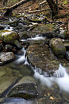 Click to see Y_DSC1452-MOD.JPG