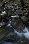 Click to see Y_DSC1452.JPG