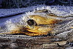 Click to see Y_DSC1469.JPG