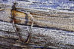 Click to see Y_DSC1471.JPG