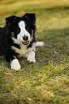 Click to see Y_DSC1517.JPG