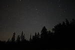 Click to see Y_DSC1595.JPG