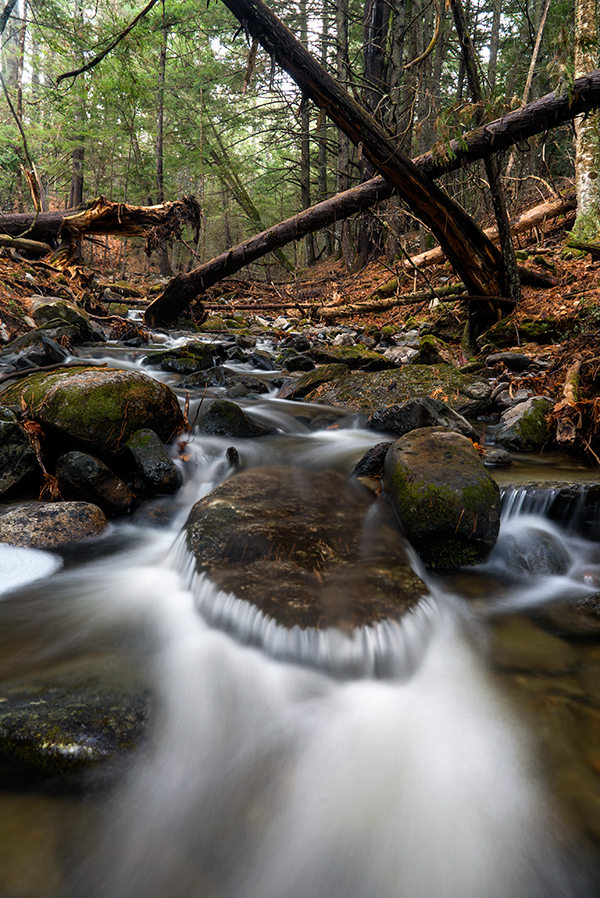 Sony A7S II Field Test -- Gallery Image