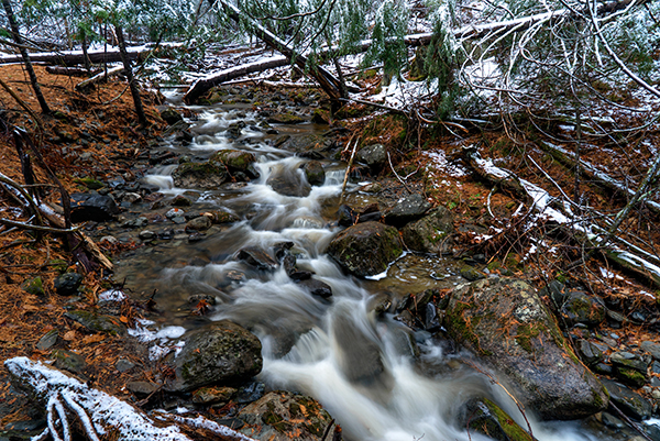 Sony A7S II Field Test -- Gallery Image