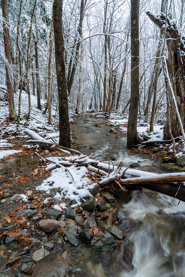 Sony A7S II Field Test -- Gallery Image