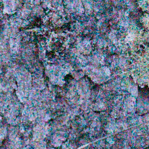 Sony A7S II Field Test -- Noise Test Image