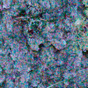 Sony A7S II Field Test -- Noise Test Image