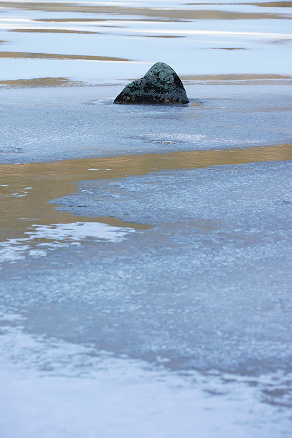 Sony A7S II Field Test -- Gallery Image