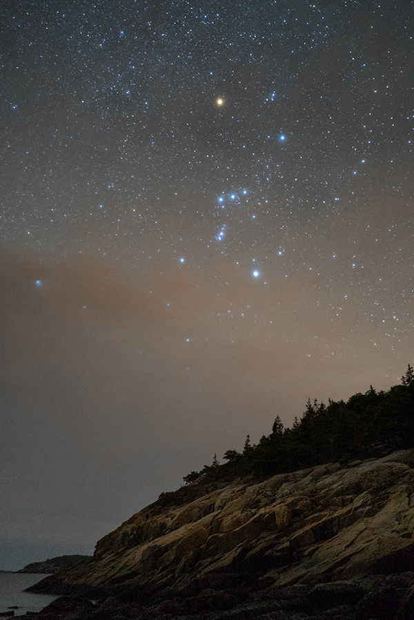 Sony A7S II Field Test -- Gallery Image