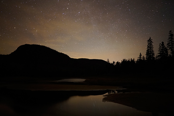 Sony A7S II Field Test -- Gallery Image
