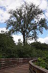 Click to see Y-A7SIII-WB-DSC00214.JPG