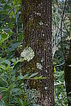 Click to see Y-A7SIII-WB-DSC00228.JPG