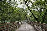 Click to see Y-A7SIII-WB-DSC00242.JPG