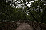 Click to see Y-A7SIII-WB-DSC00244.JPG
