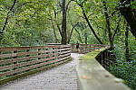 Click to see Y-A7SIII-WB-DSC00266.JPG
