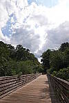 Click to see Y-A7SIII-WB-DSC00301.JPG