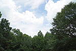 Click to see YDSC00274.JPG