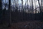 Click to see YDSC00613-HHTwilight.JPG